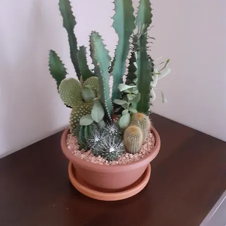 Sloneczny Z Malym Ogrodkiem Apartamento Wejherowo